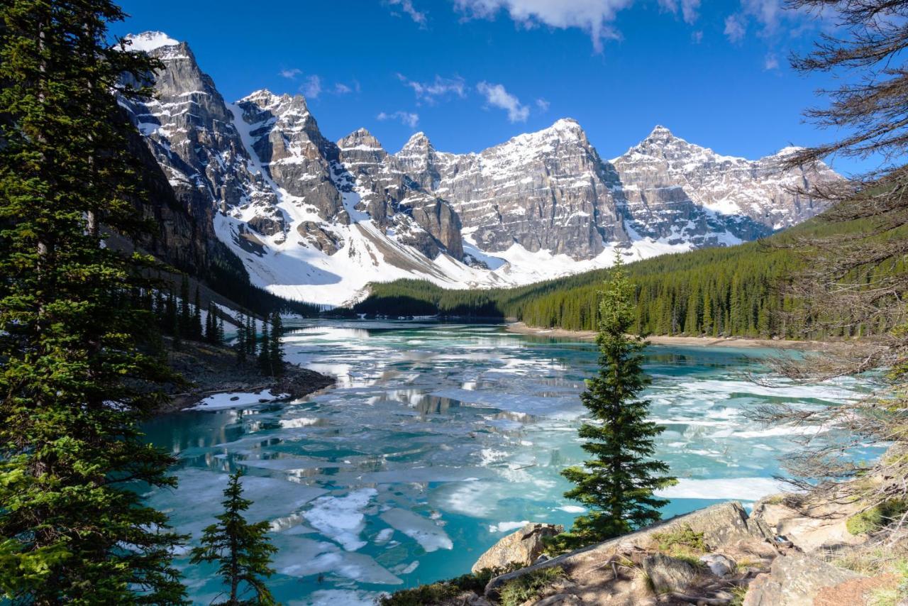 Spectacular Mountain View Corner Unit Pool Hot Tub Park Pass Daire Canmore Dış mekan fotoğraf